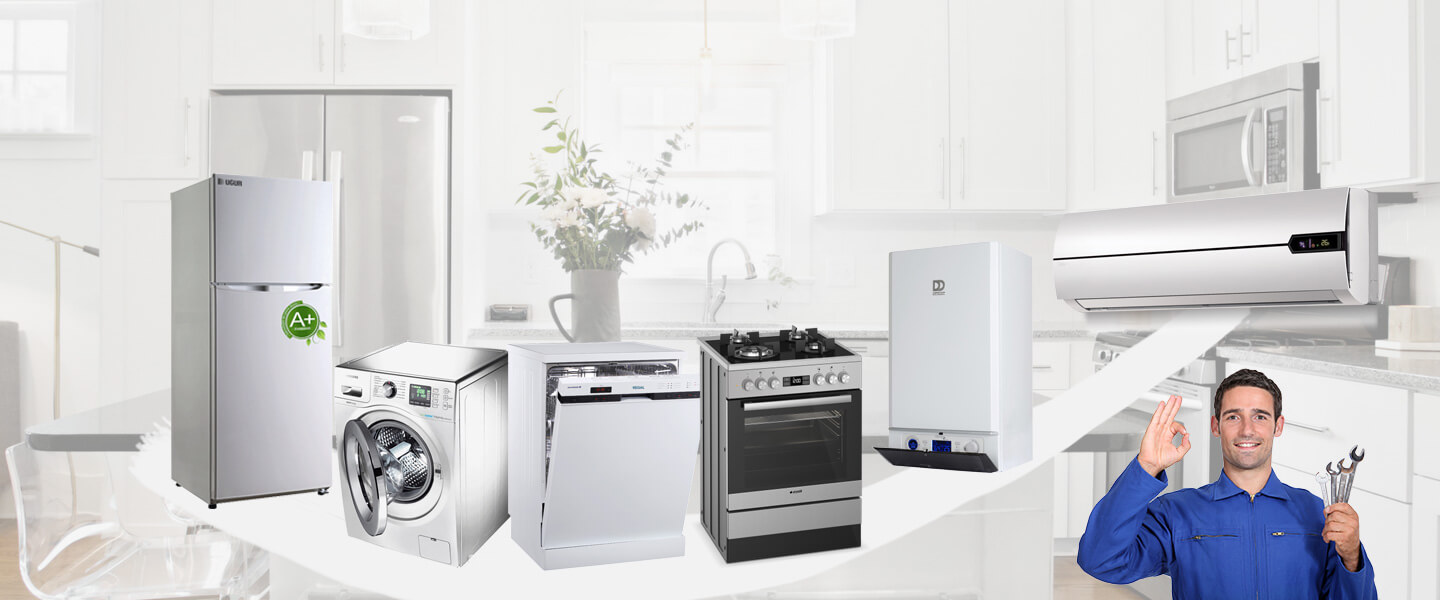 Sığacık Smeg Servisi